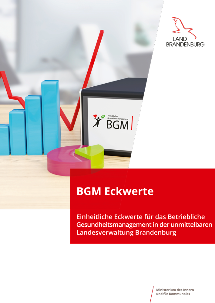 Publikation: BGM Eckwerte Cover BGM Eckwerte: Wort-Bild-Marke Land Brandenburg, Titelfoto mit Aktenordner und Statistiken und Schriftzug BGM Eckwerte